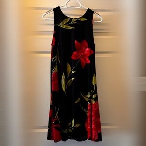 Anne Klein Fully Lined Dress